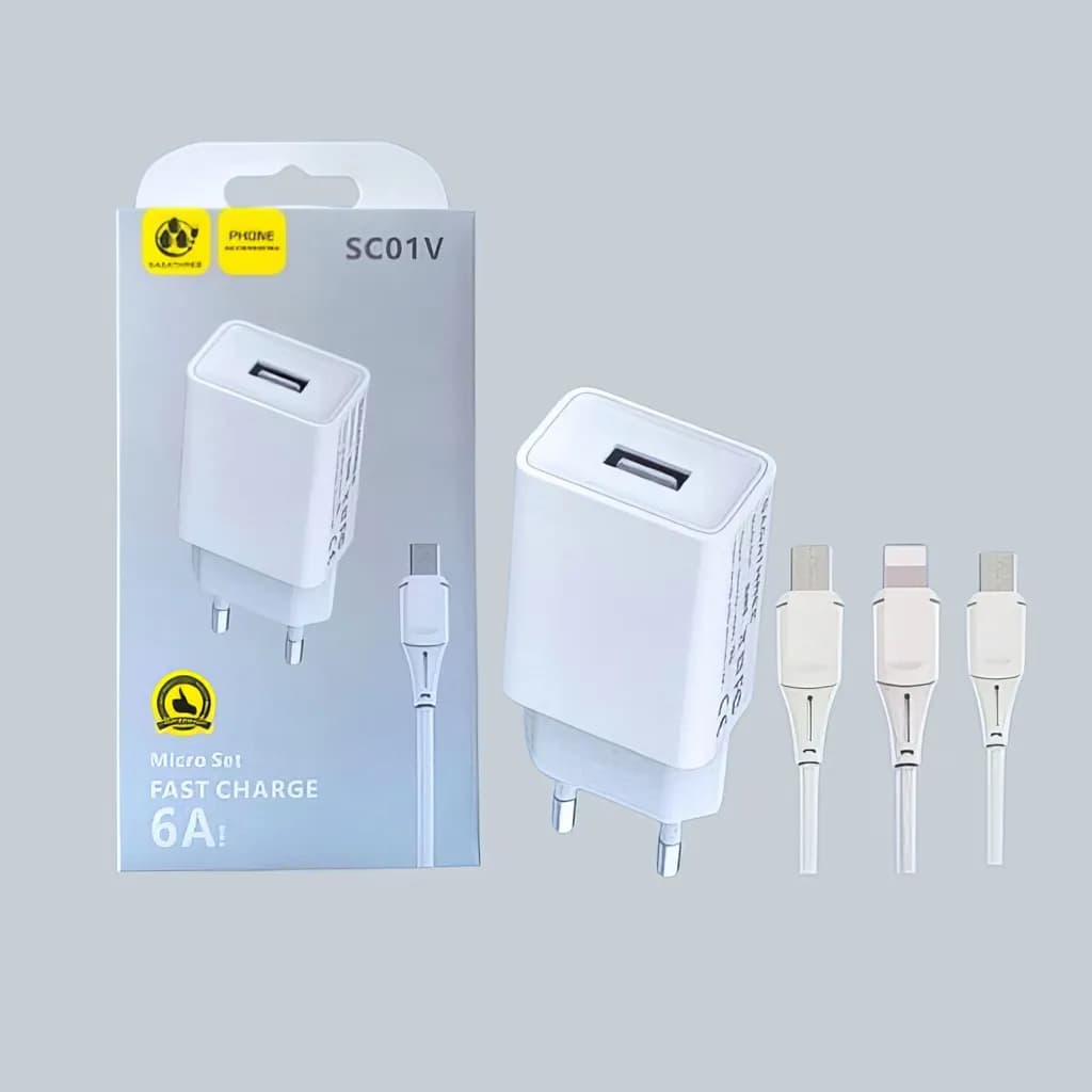 Dolphin Charger — Dolphin standard power wall adapter